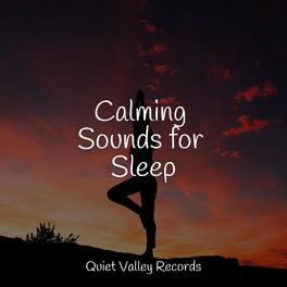 Album cover of Calming Sounds for Sleep