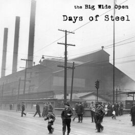 Album cover of Days of Steel