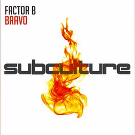 Album cover of Bravo