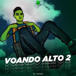 Album cover of Voando Alto 2