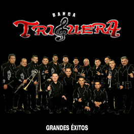 Banda Todo Terreno - A Mi Nadie Me Tumba: lyrics and songs | Deezer