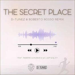Album cover of The Secret Place (REMIX)