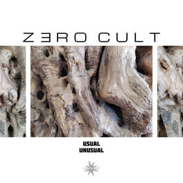 Album cover of Usual Unusual