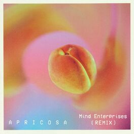 Album cover of Apricosa (Mind Enterprises Remix)