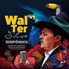 Album cover of Walter Silva Sinfónico