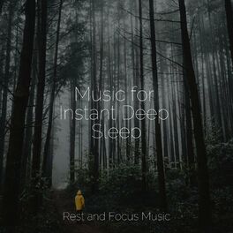 Album cover of Music for Instant Deep Sleep