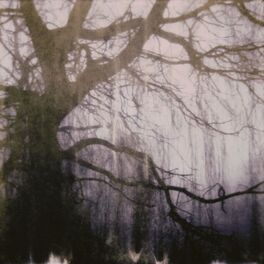 Album cover of circles