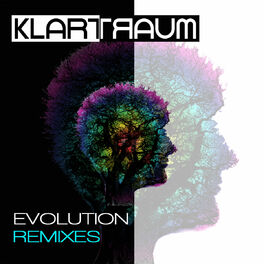 Album cover of Evolution (Remixes)