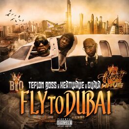 Album cover of Fly to Dubai (feat. Guala & Heatwave)