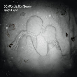Album cover of 50 Words for Snow
