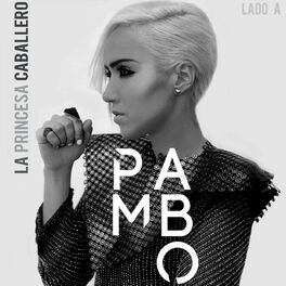 Album cover of La Princesa Caballero: Lado A
