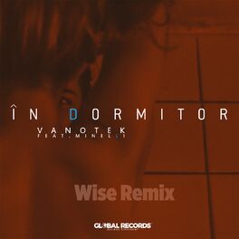 Album cover of In Dormitor (Wise Remix)
