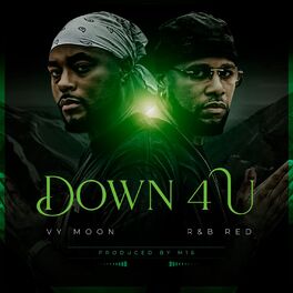 Album picture of Down 4 U