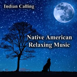 Album cover of Native American Relaxing Music