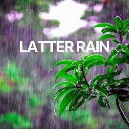 Album cover of Latter Rain