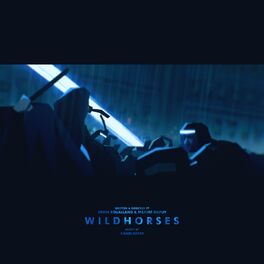 Album cover of Wild Horses - Original Soundtrack