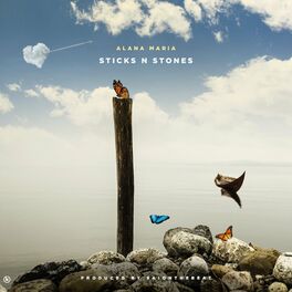 Album cover of Sticks n Stones