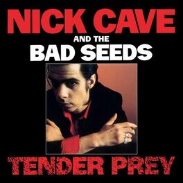 Album cover of Tender Prey