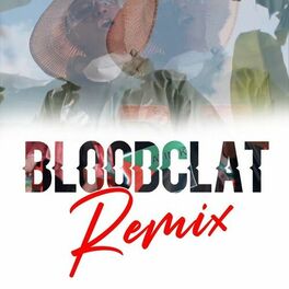 Album cover of Bloodclat (Remix)