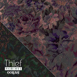 Album cover of Thief (Remixes)