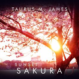 Album cover of Sunset Sakura