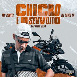 Album cover of Chucro e Desenvolto