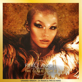 Album cover of Fierce Angel Presents the Collection III (DJ Edition Unmixed)