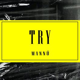 Album cover of Try