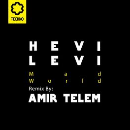 Album cover of Mad World (Amir Telem Remix)