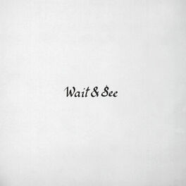 Album cover of Wait & See