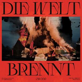 Album cover of Die Welt Brennt