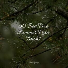 Album cover of 50 Bed Time Summer Rain Tracks
