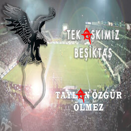 Album cover of Tek Aşkımız Beşiktaş