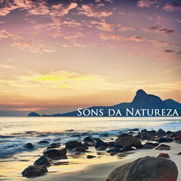 Album cover of Sons da Natureza - Relaxamento e Meditação, Bem Estar e Musicas para Relaxar