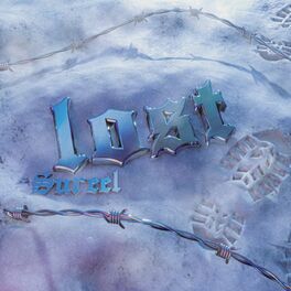 Album cover of Lost