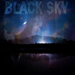 Album cover of Black Sky