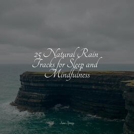 Album cover of 25 Natural Rain Tracks for Sleep and Mindfulness