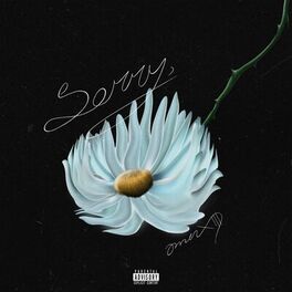 Album cover of Sorry,