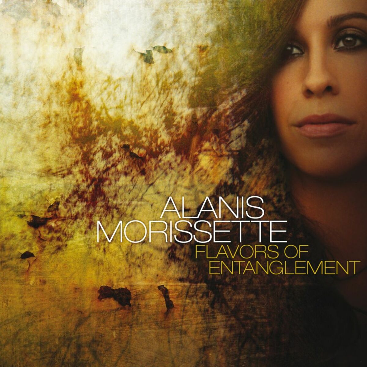 アラニス・モリセット: アルバム、曲、プレイリスト | Deezerで聴く