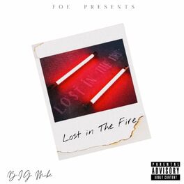 Album cover of Lost In The Fire