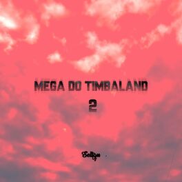 Album cover of MEGA DO TIMBALAND 2