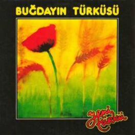 Album cover of Buğdayın Türküsü
