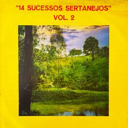 Album cover of 14 Sucessos Sertanejos Vol. 2