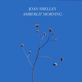 Album cover of Amberlit Morning