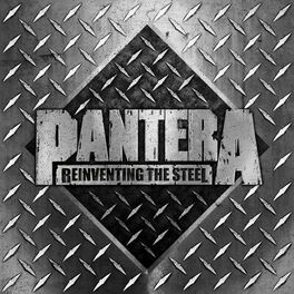 Album cover of Reinventing the Steel (20th Anniversary Edition)