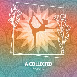 Album cover of A Collected Nature