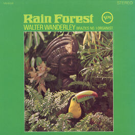 Album cover of Rain Forest