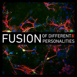 Album cover of Fusion (Of Different Personalities)