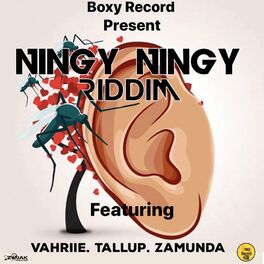 Album cover of Ningy Ningy Riddim