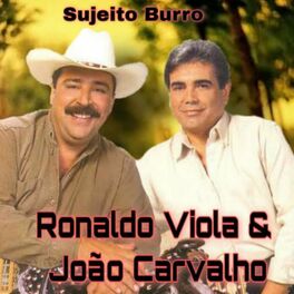 Album cover of Sujeito Burro